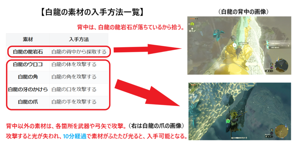 ゼルダ なぜ白龍？